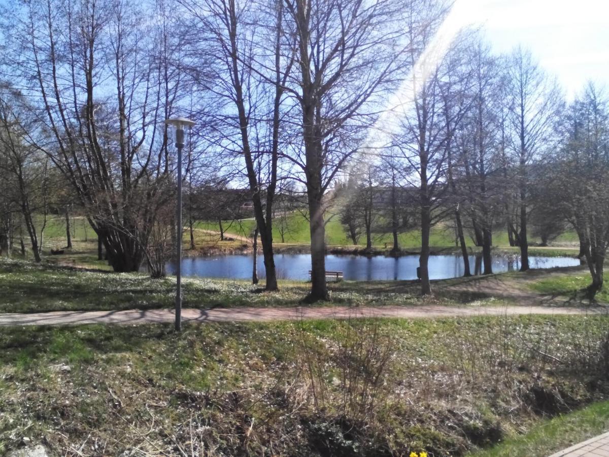 Ferienwohnung Waldblick سشلوشسي المظهر الخارجي الصورة