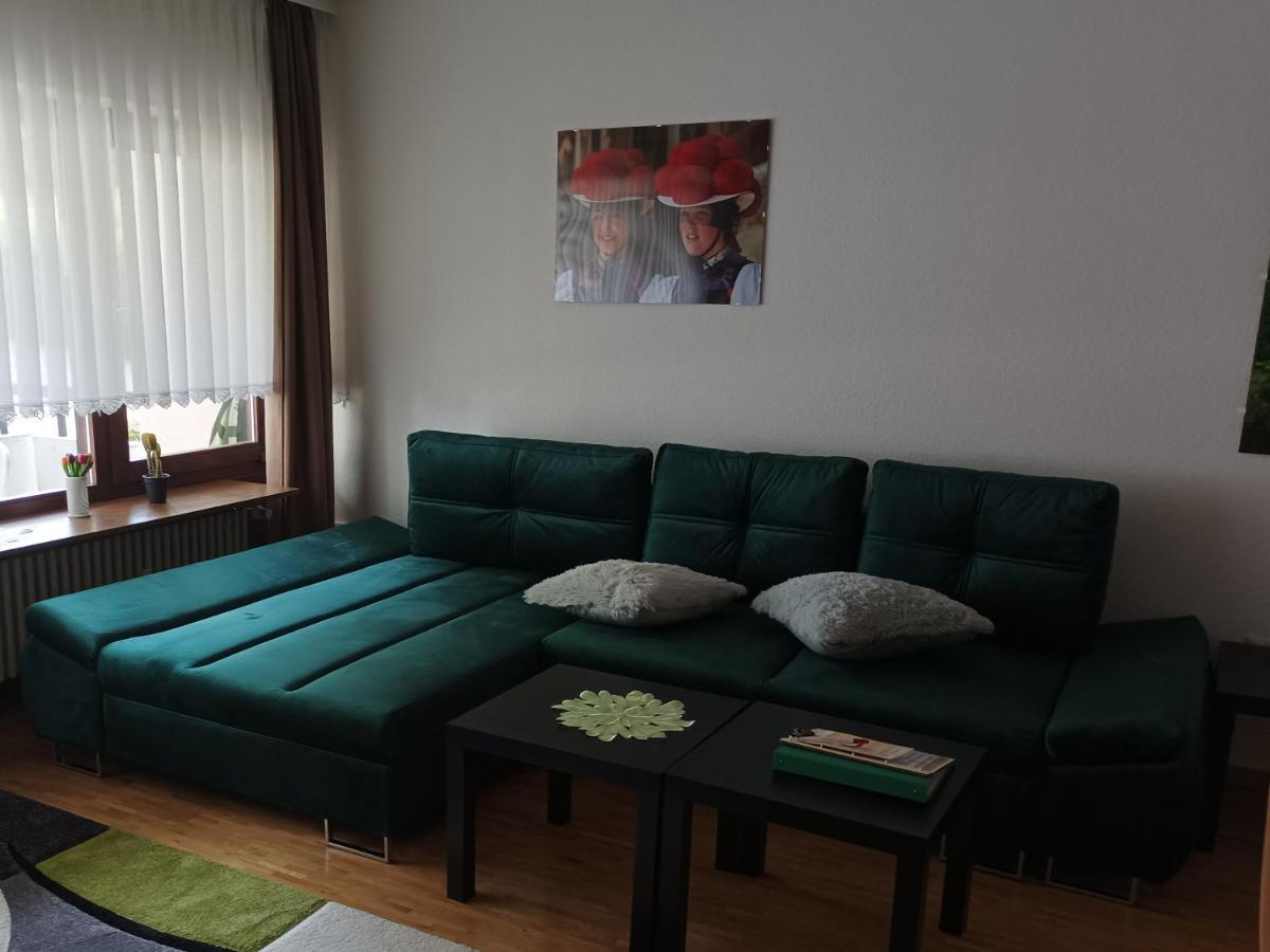Ferienwohnung Waldblick سشلوشسي المظهر الخارجي الصورة